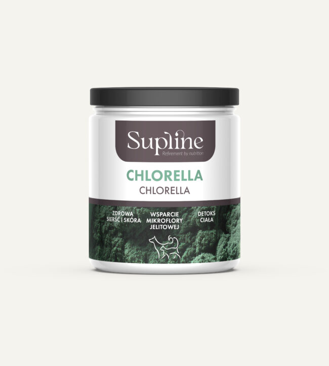 CHLORELLA 100g