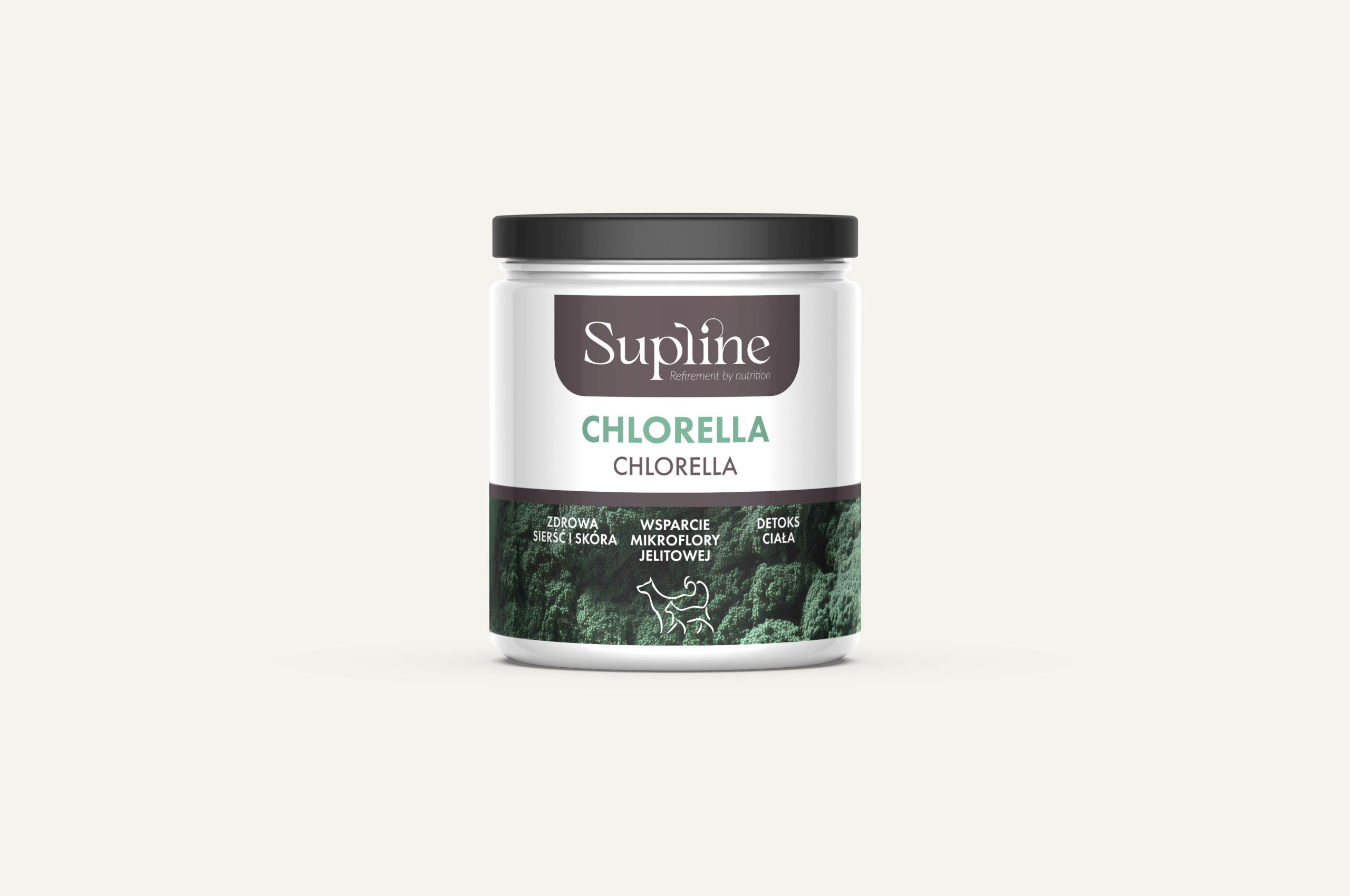 CHLORELLA 100g