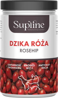 dzika roza