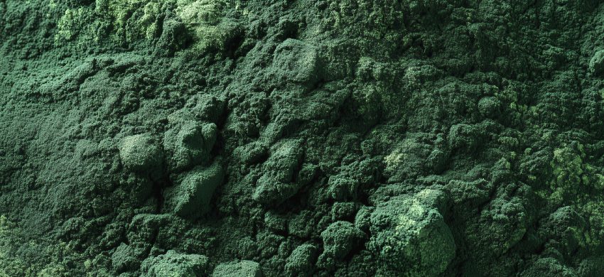 supline_karty_chlorella